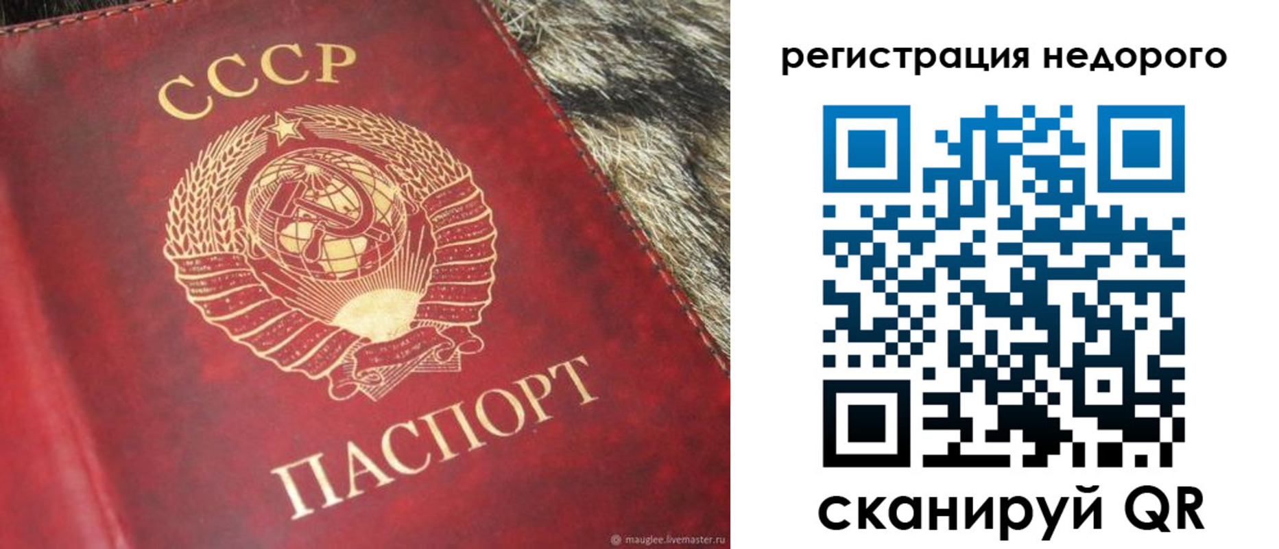 прописка ребенка в Скопине